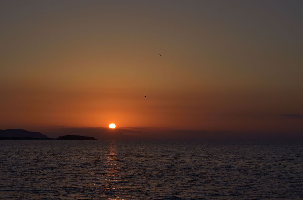DSC_4032
