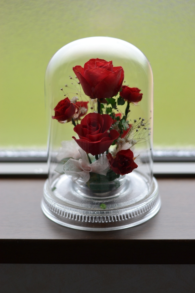 Dry Rose