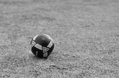DSC_4699_01