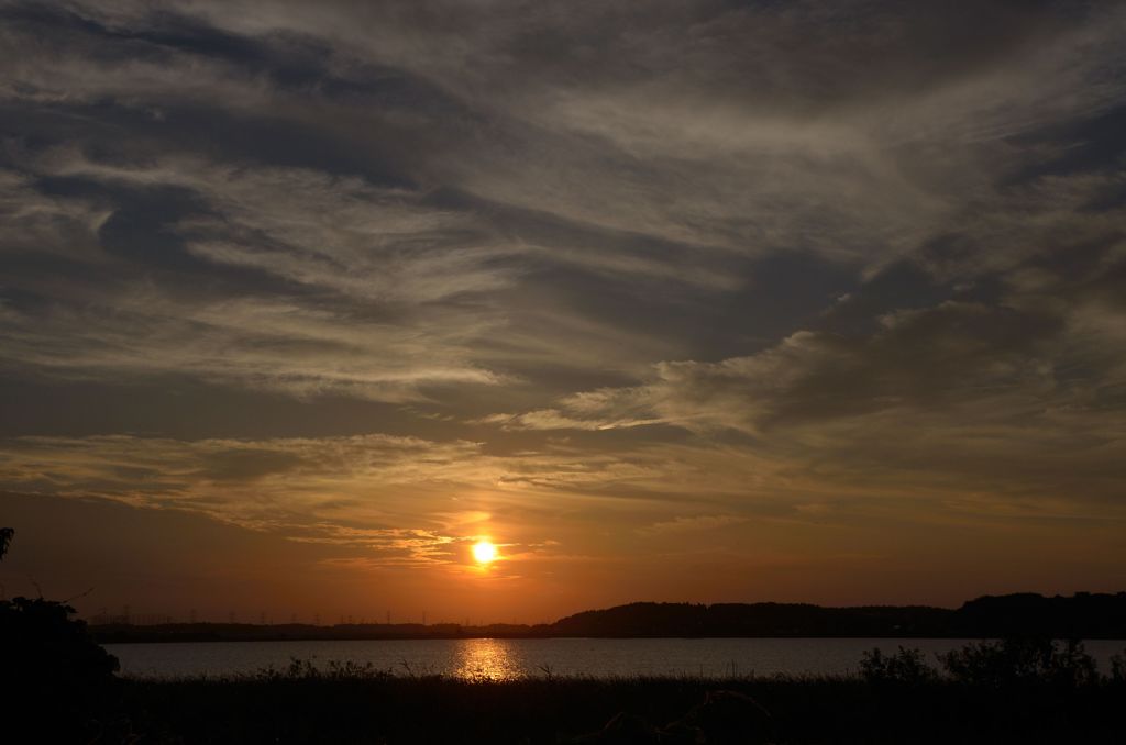 DSC_3065