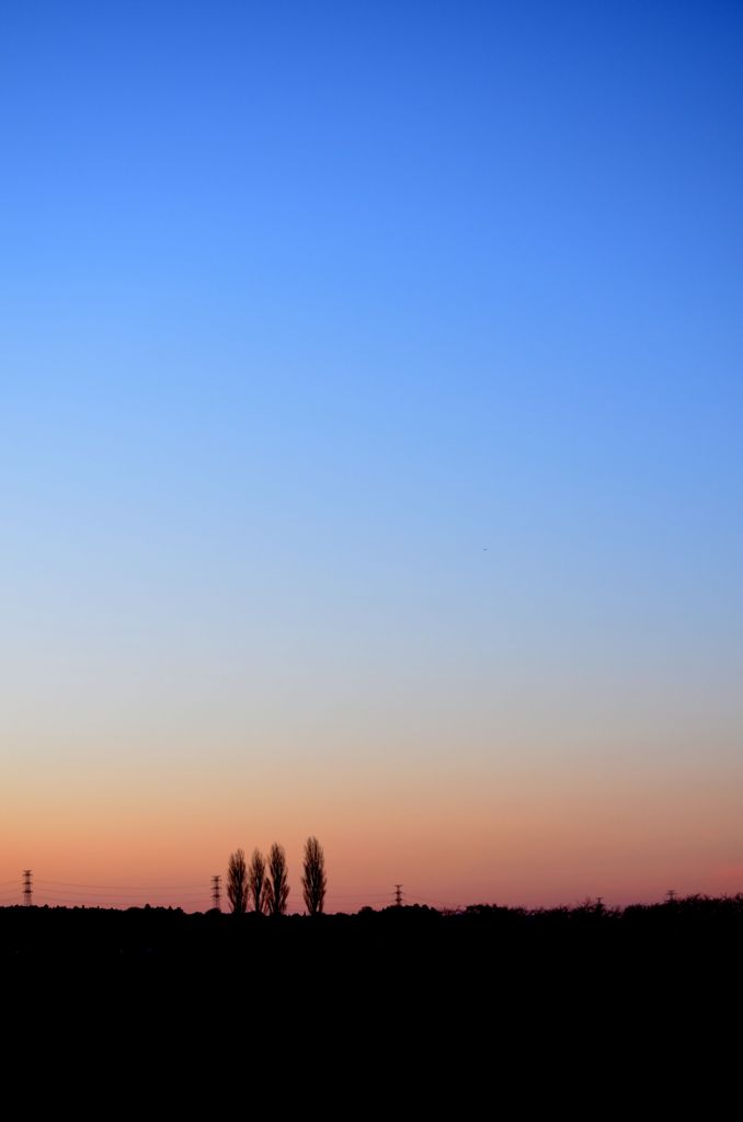 Sunset Glow 20121216