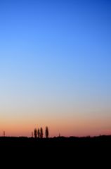 Sunset Glow 20121216