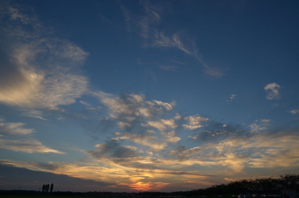 DSC_3093