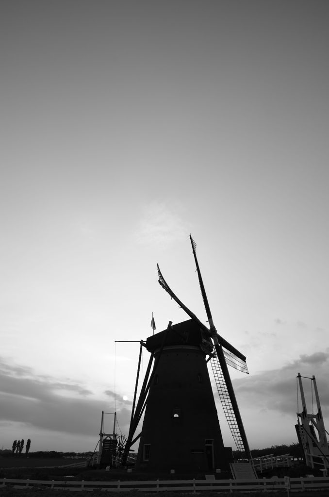 DSC_2826