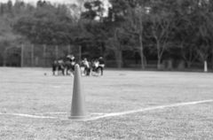 DSC_4698_01