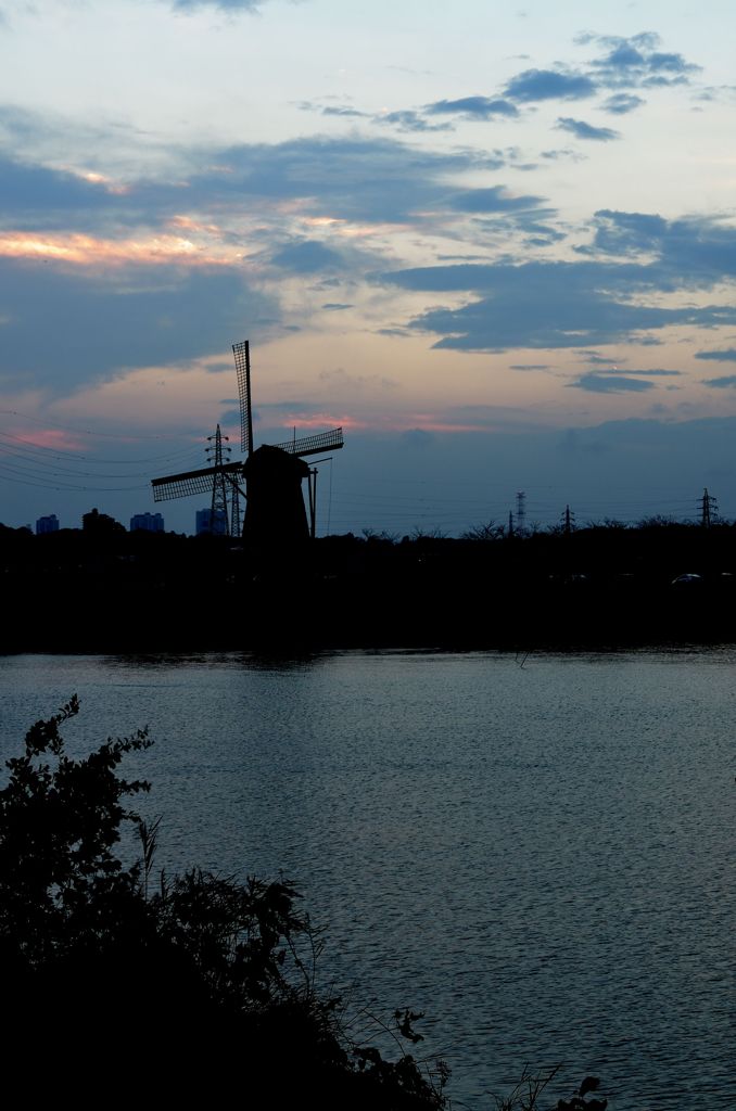 DSC_4226