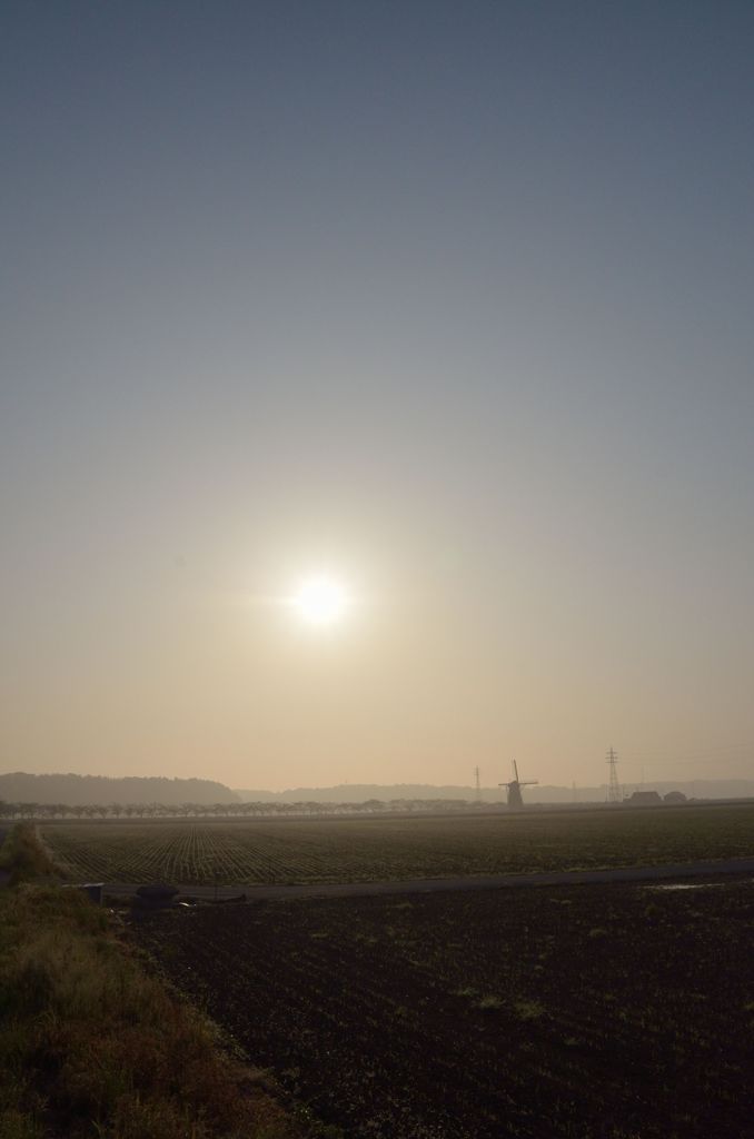 DSC_5417