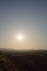 DSC_5417