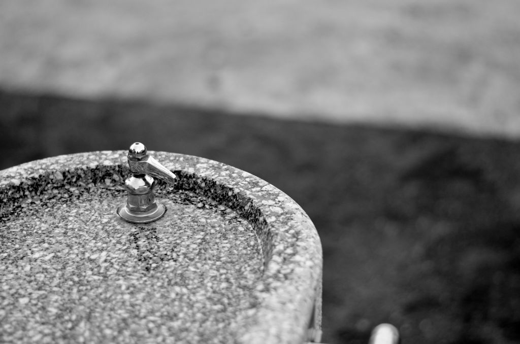 DSC_4732