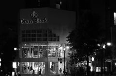 DSC_3111