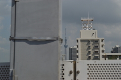DSC_0059