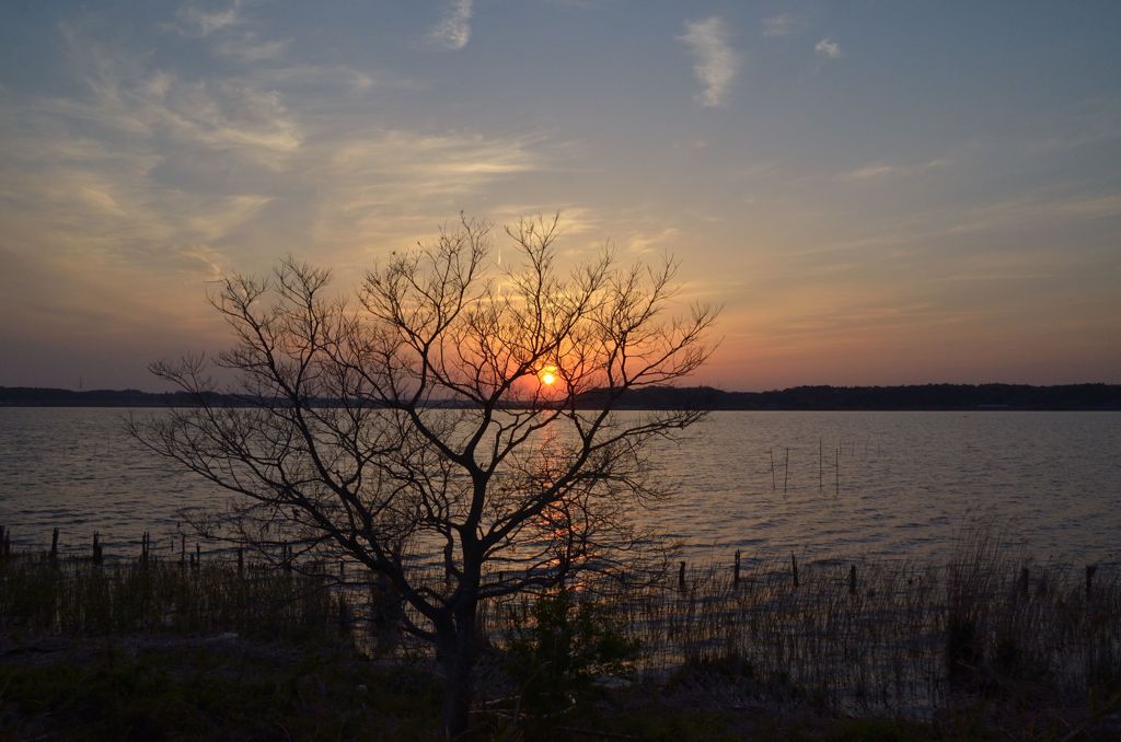 DSC_5215