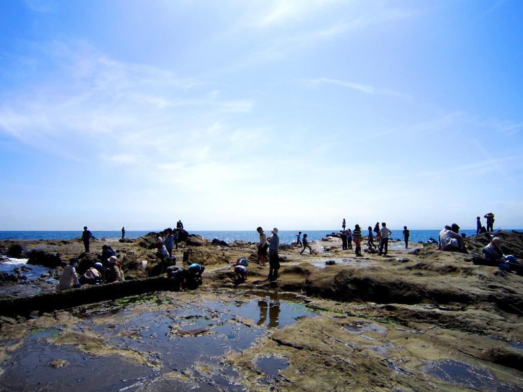 江の島1