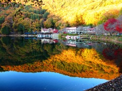 湖に映る秋