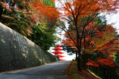 瀧光徳寺