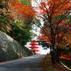 瀧光徳寺