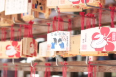 それぞれの思い