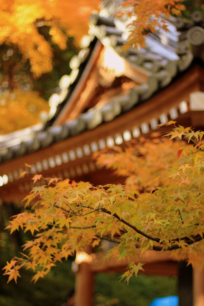 大興善寺にて