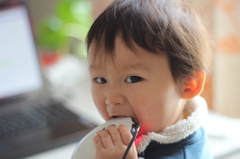 食べちゃだめー