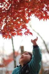 初めての紅葉