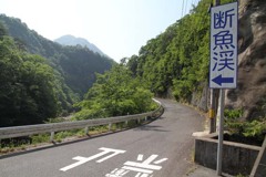 断魚渓←