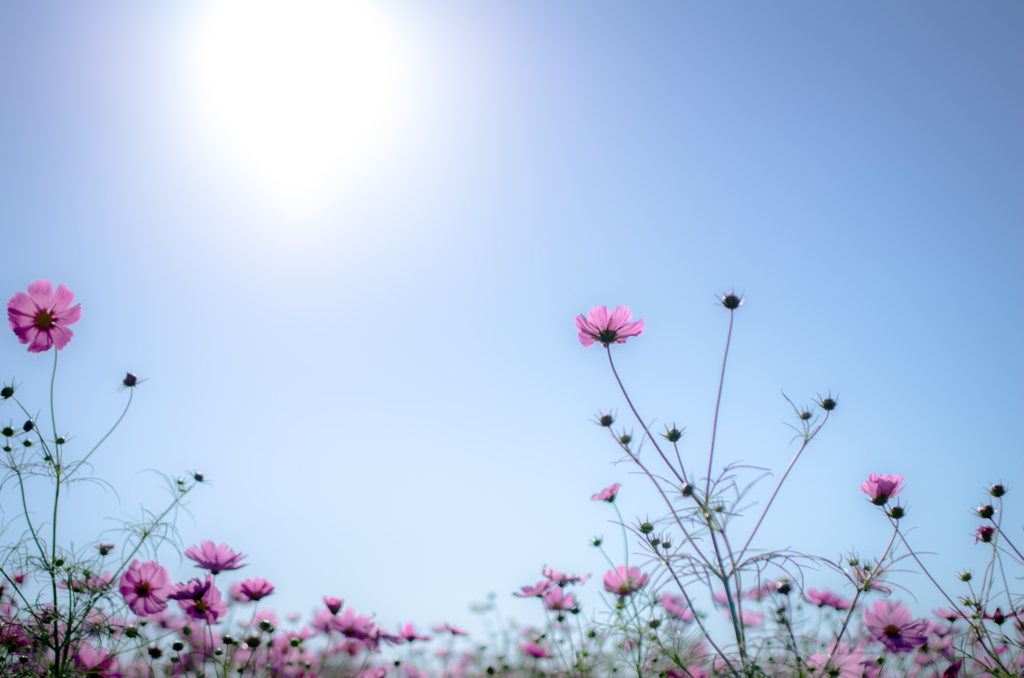 空高く