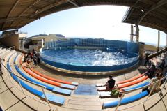 イルカショースタジアム