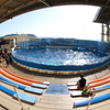 イルカショースタジアム