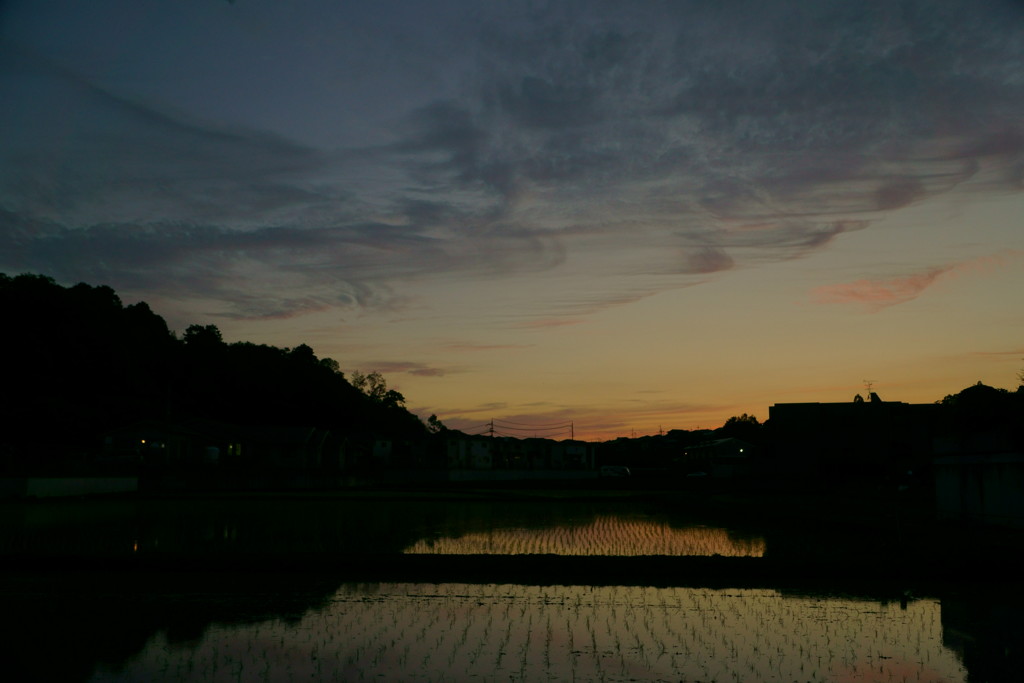 何気ない夕景