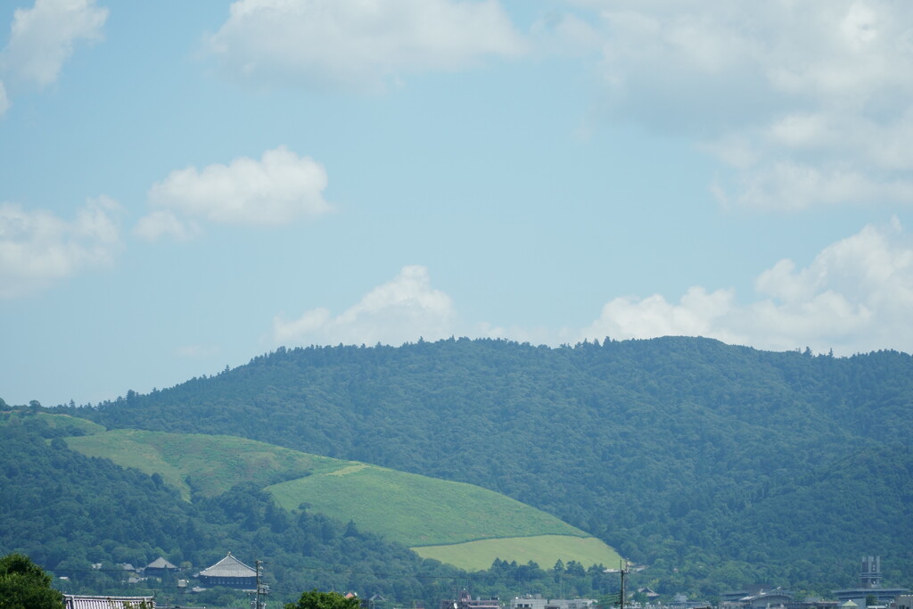 夏の若草山