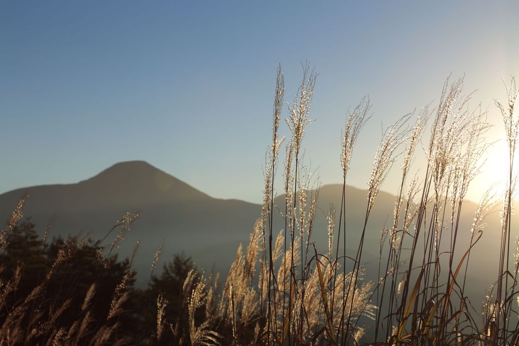 秋朝の蓼科山