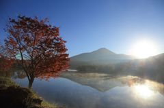 秋の朝 白樺湖