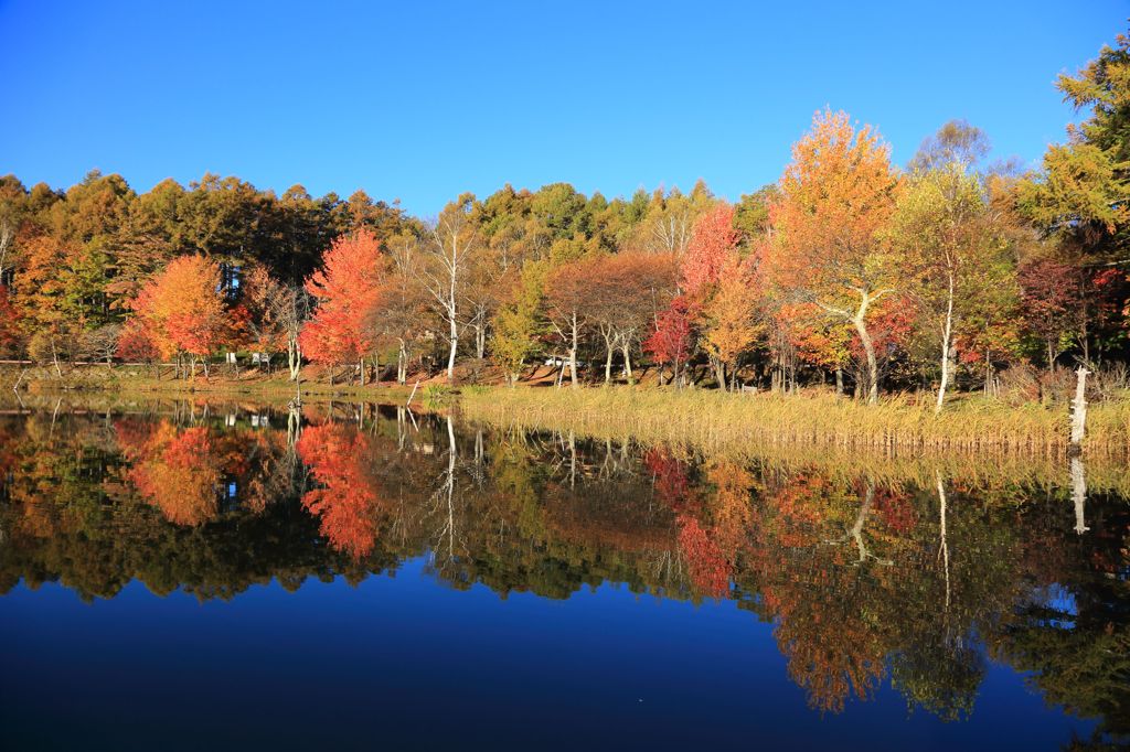 秋の朝 女神湖