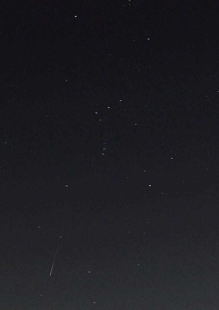 オリオン座流星群極大日