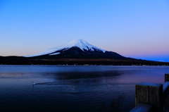 白鳥の湖