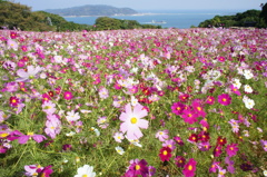 能古島　2