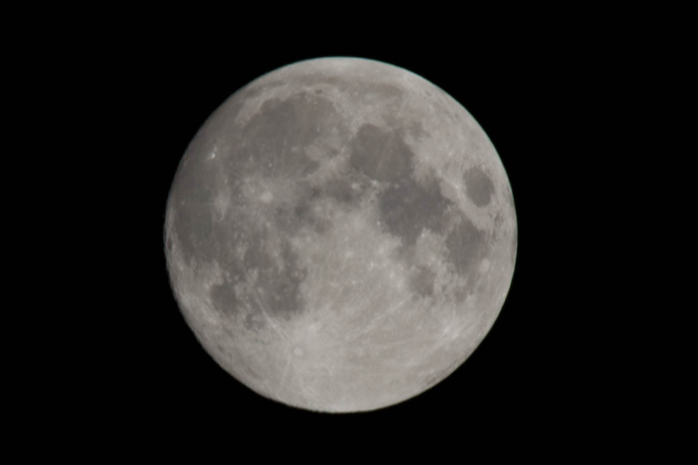 _DSC0013