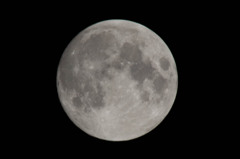 _DSC0013