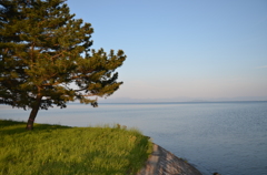 琵琶湖を望む