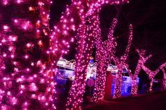 DSC01060