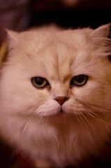 DSC01178