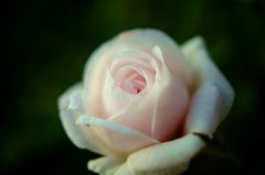 DSC08734