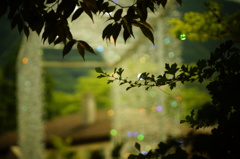 DSC04615