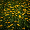 DSC04561