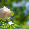 DSC05071