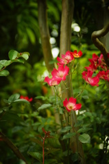 DSC04599