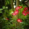 DSC04599