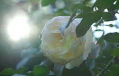 DSC05059