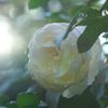 DSC05059