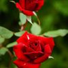DSC05316